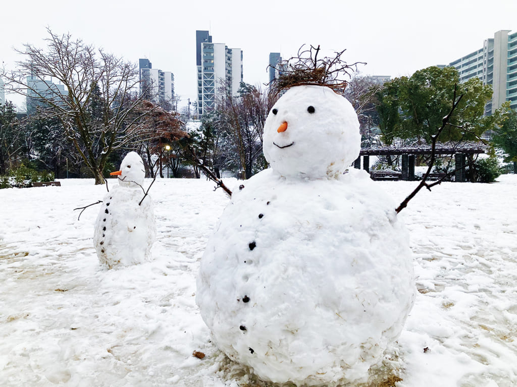 2月10日に関東で積雪・雪模様の多摩ニュータウンを歩きました！