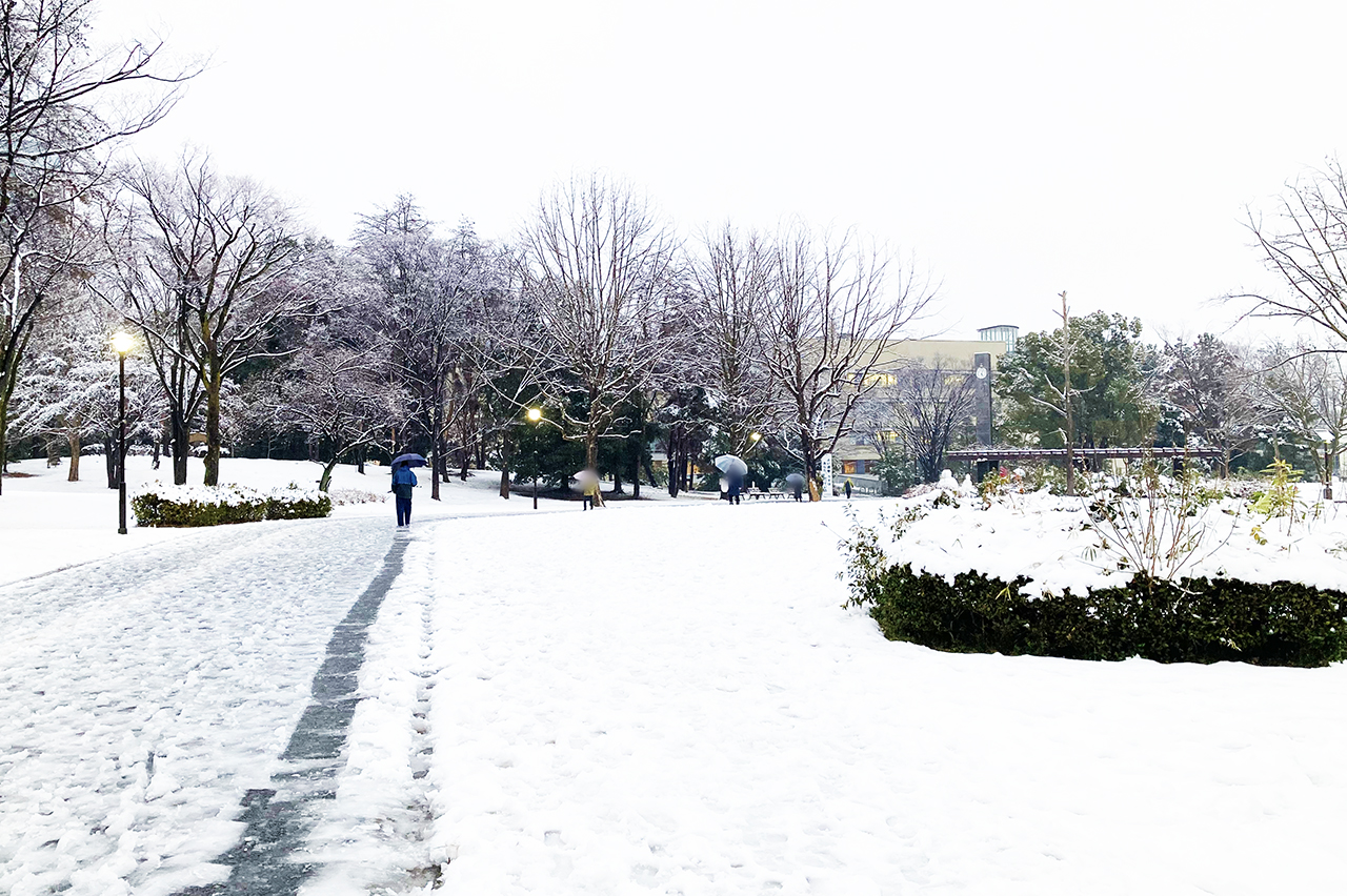 2月10日に関東で積雪・雪模様の多摩ニュータウンを歩きました！