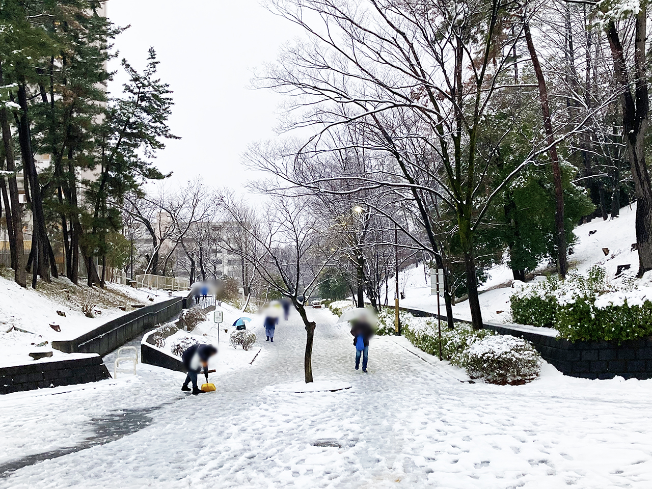 2月10日に関東で積雪・雪模様の多摩ニュータウンを歩きました！