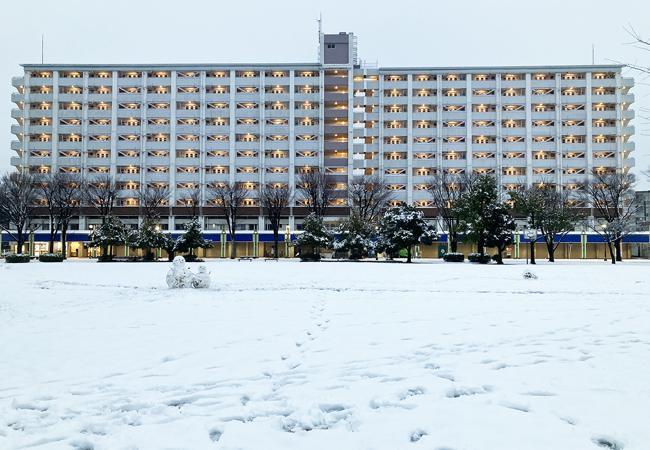 2月10日に関東で積雪・雪模様の多摩ニュータウンを歩きました！