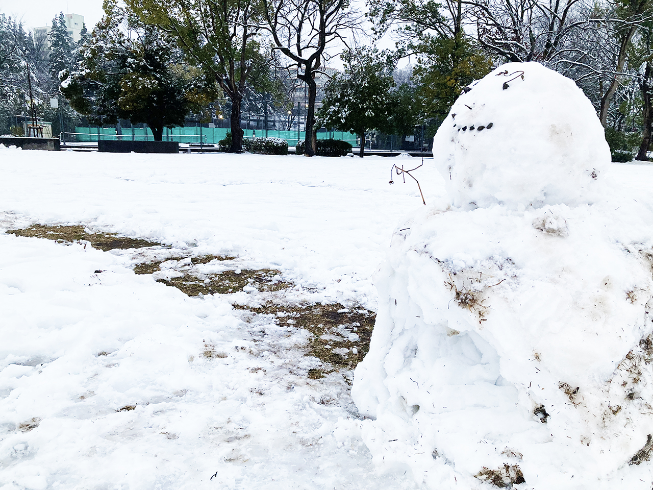 2月10日に関東で積雪・雪模様の多摩ニュータウンを歩きました！