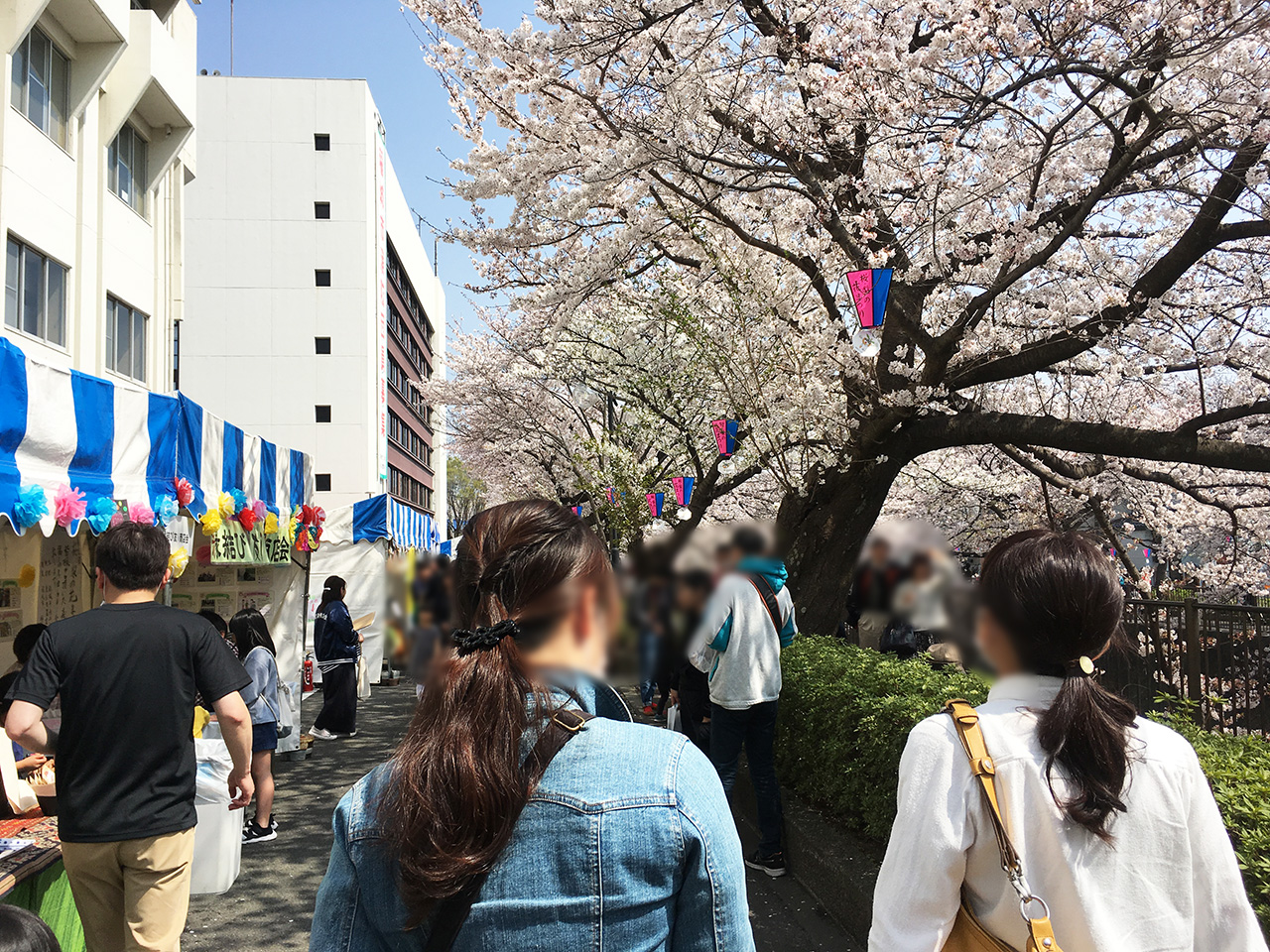 「第13回 三沢川 桜・梨の花まつり」4/1から２日間開催！