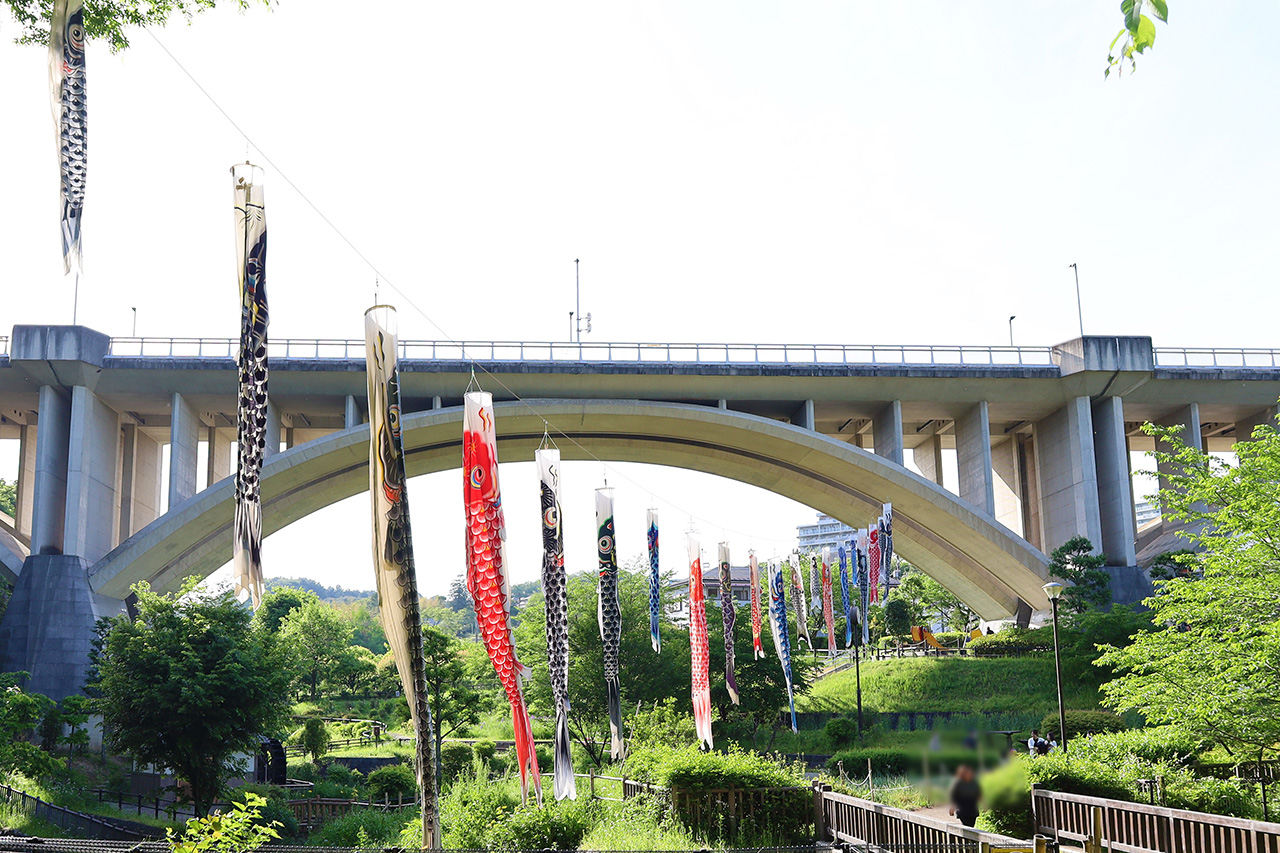 上谷戸親水公園で「鯉のぼり」が5月6日まで掲揚