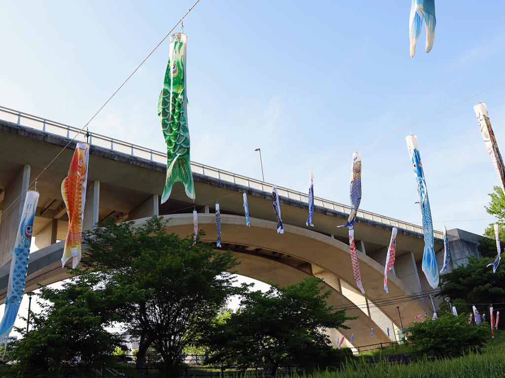 上谷戸親水公園で「鯉のぼり」が5月6日まで掲揚