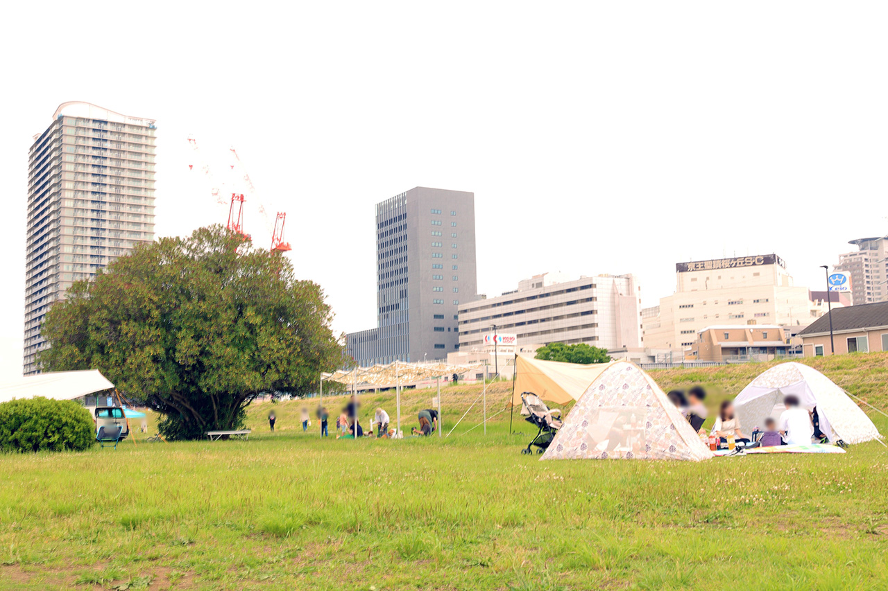 わんちゃんが多摩川河川敷に大集合！ミズベリング聖蹟桜ヶ丘で「せいせきドッグフェスタ」が開催されました！