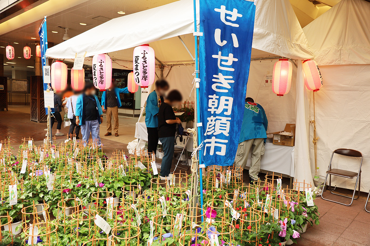 「2003 せいせき朝顔市 第41回ふるさと多摩夏まつり」初日