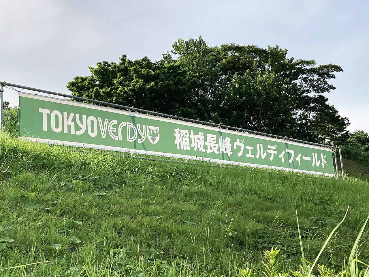 一緒にサッカーをしよう♪　姉妹都市フォスターシティ市のサッカーをする少年少女が稲城市にやってくる！　交流試合や歓迎イベントを開催へ